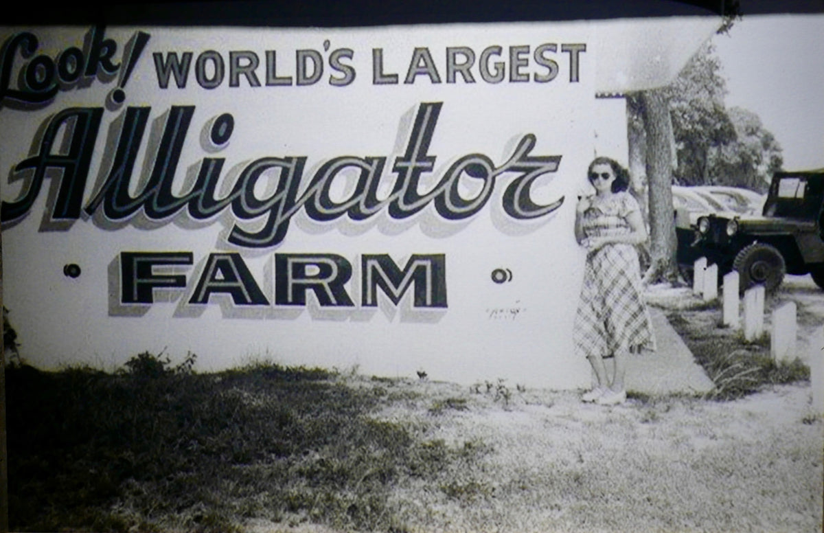 The Alligator Farm, St. Augustine, Florida (With Rucks On)