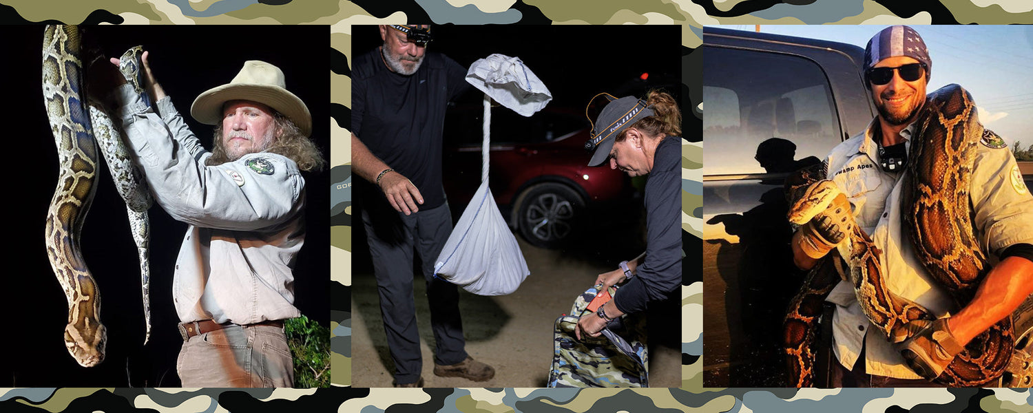 Collage of wildlife experts handling large pythons at night and daytime in outdoor settings