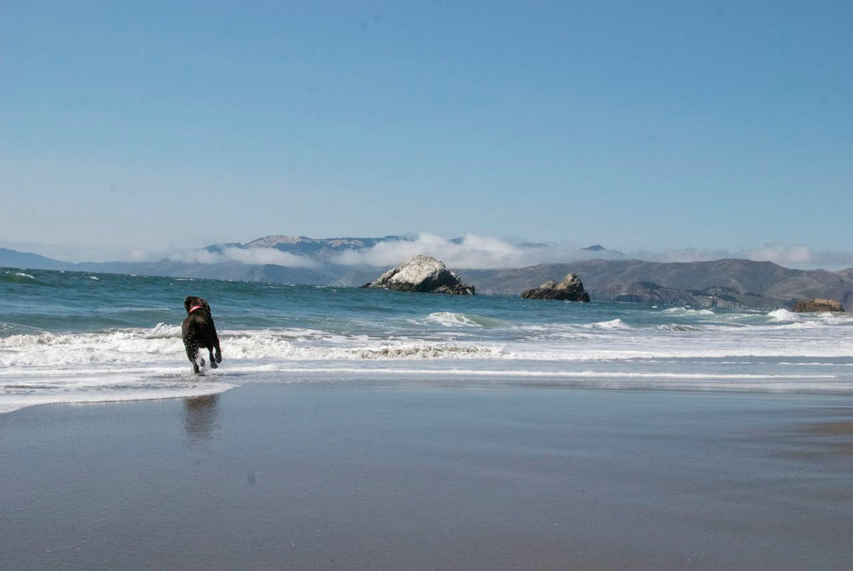 A GORUCK Challenge Route Recon, San Francisco, California