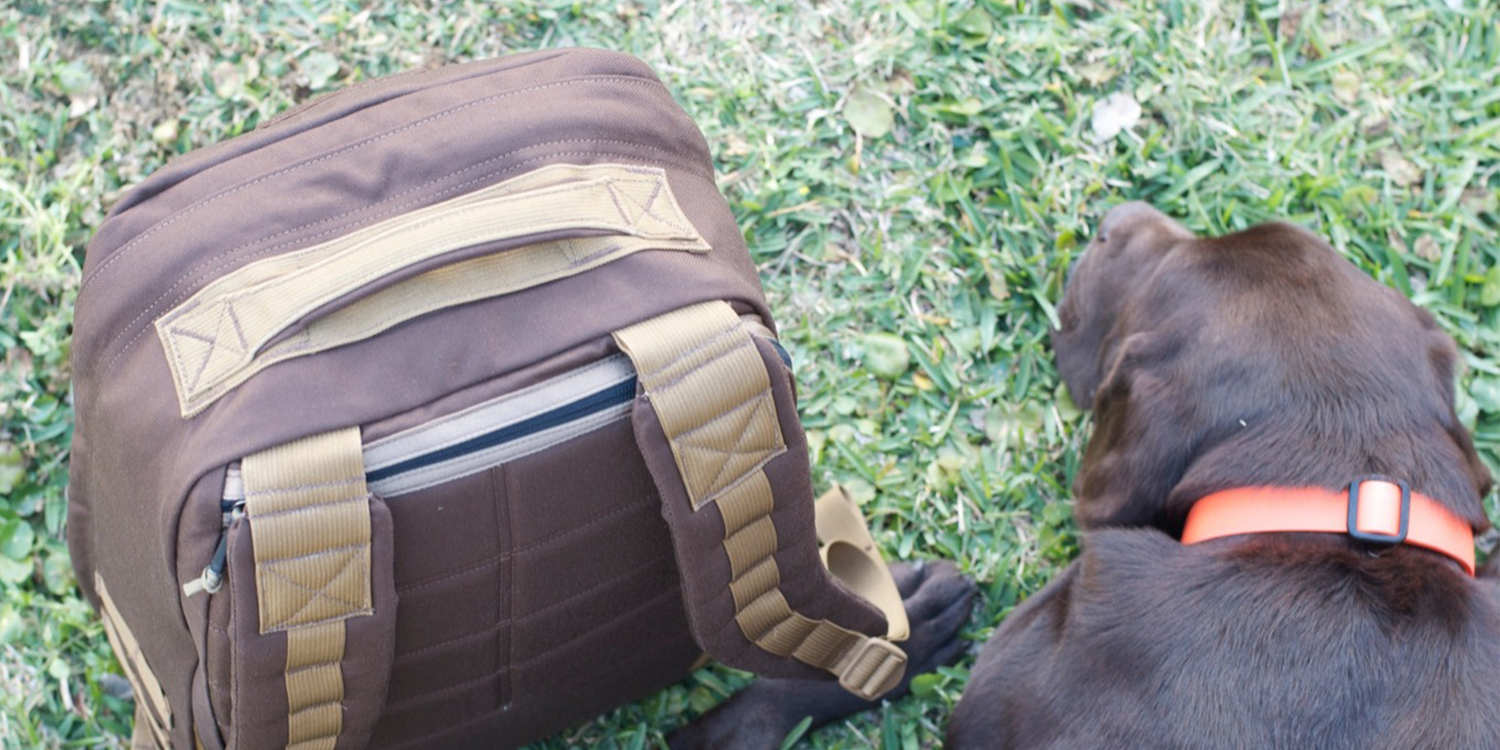 GORUCK rucksack and brown dog with orange collar on grass outdoors
