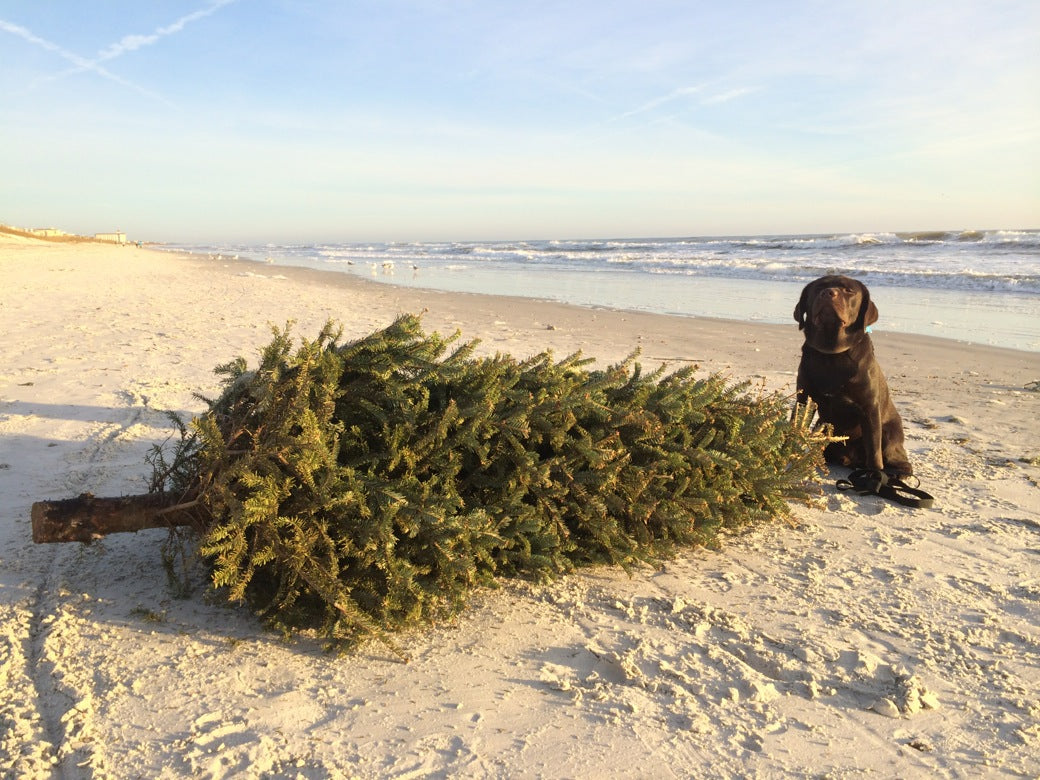 Christmas in July (XIJ) 2015: Hasty Recap