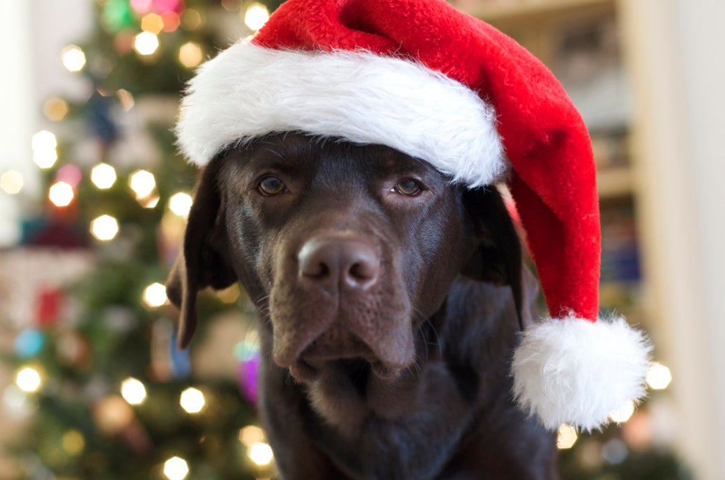 Merry Christmas, Our Way