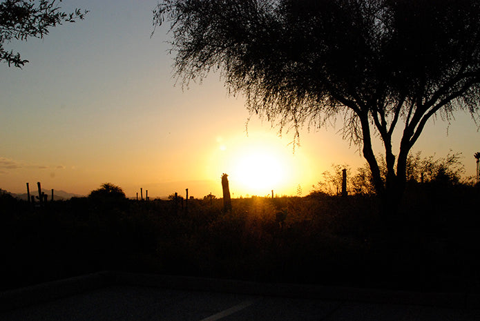 Colossal Caves, Tucson, Arizona