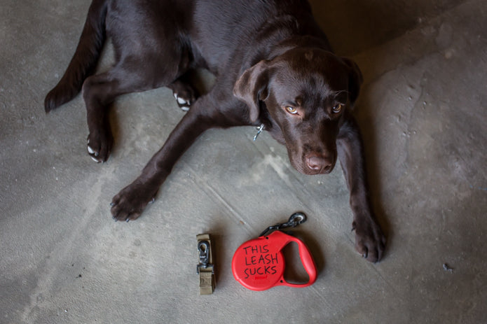 GORUCK Monster Dog Leash What’s the Difference