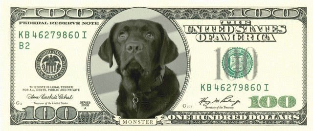The $100 Situation