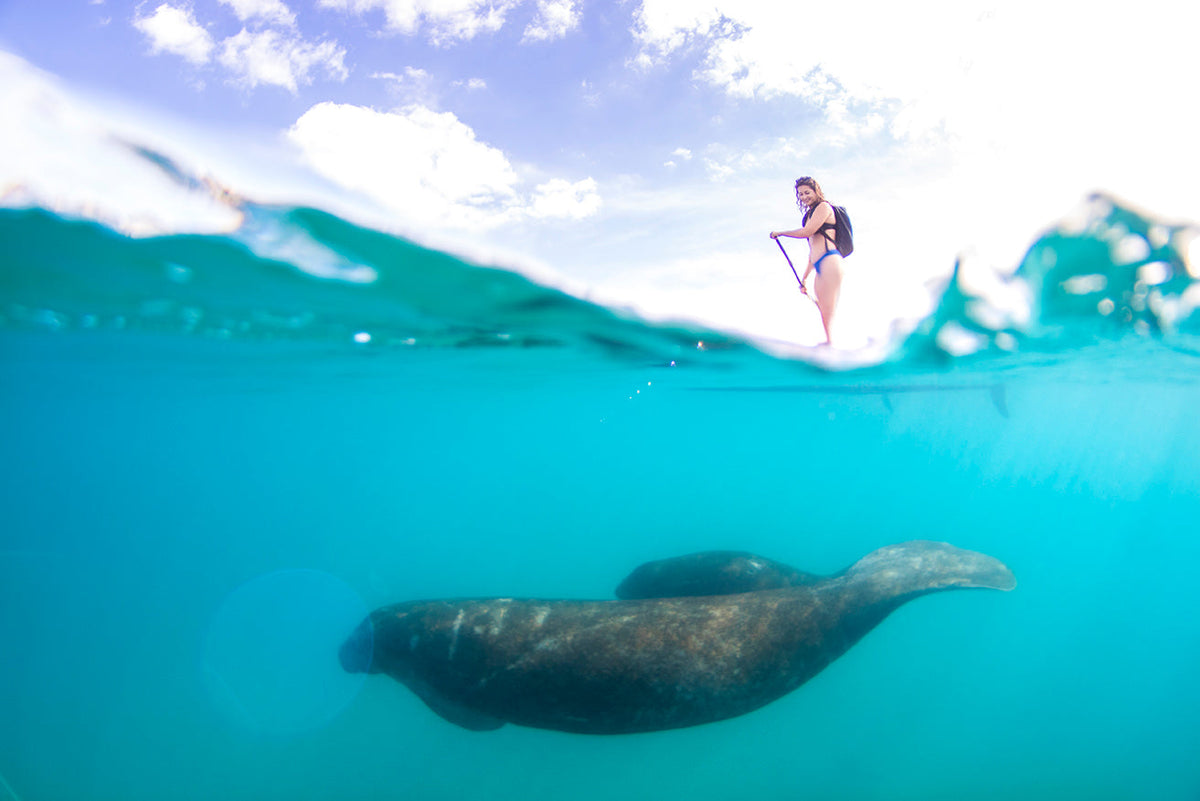 #TravelTuesday with GORUCK + Drifting Migrations