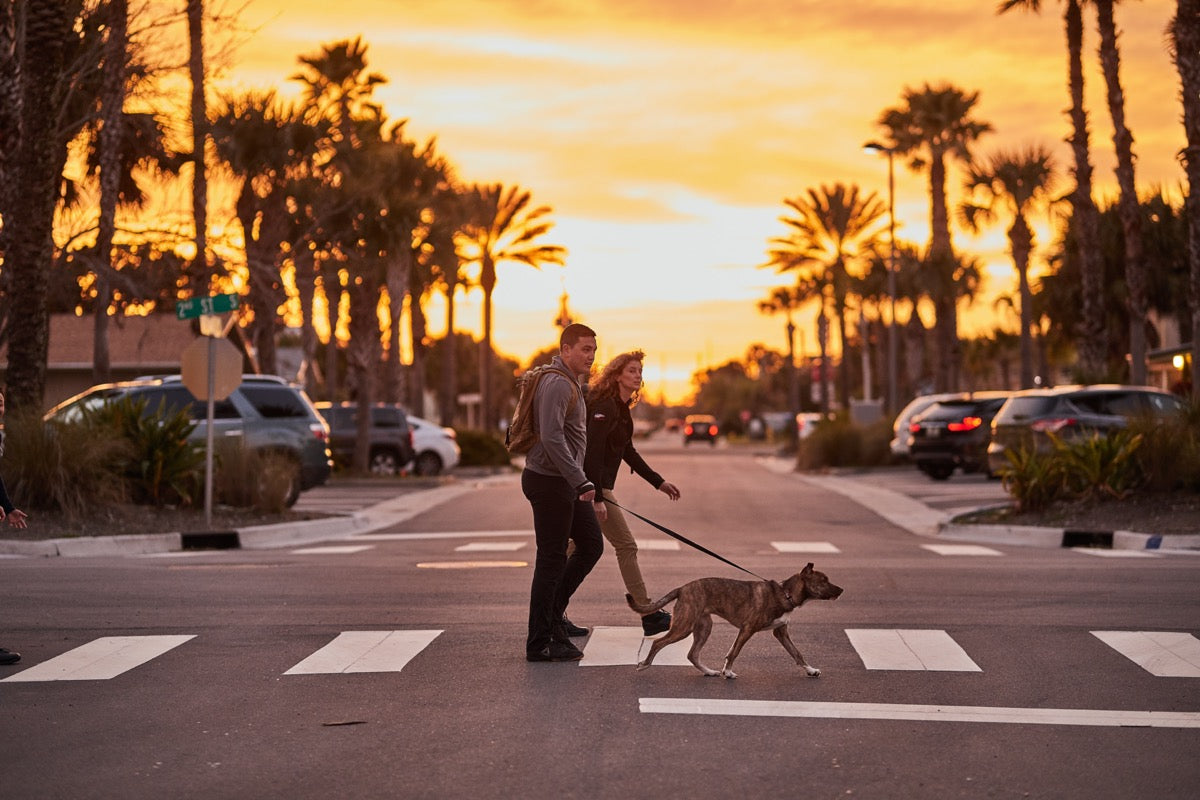 Top 9 Safety Tips for Rucking Your Dog from a Veterinarian
