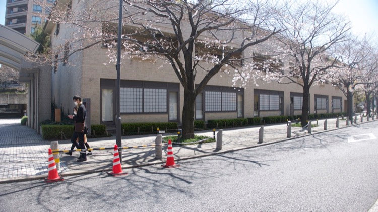 Adapting to a Pandemic: Old and New Lessons from Japan