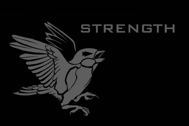 GORUCK Tribe: February 2022