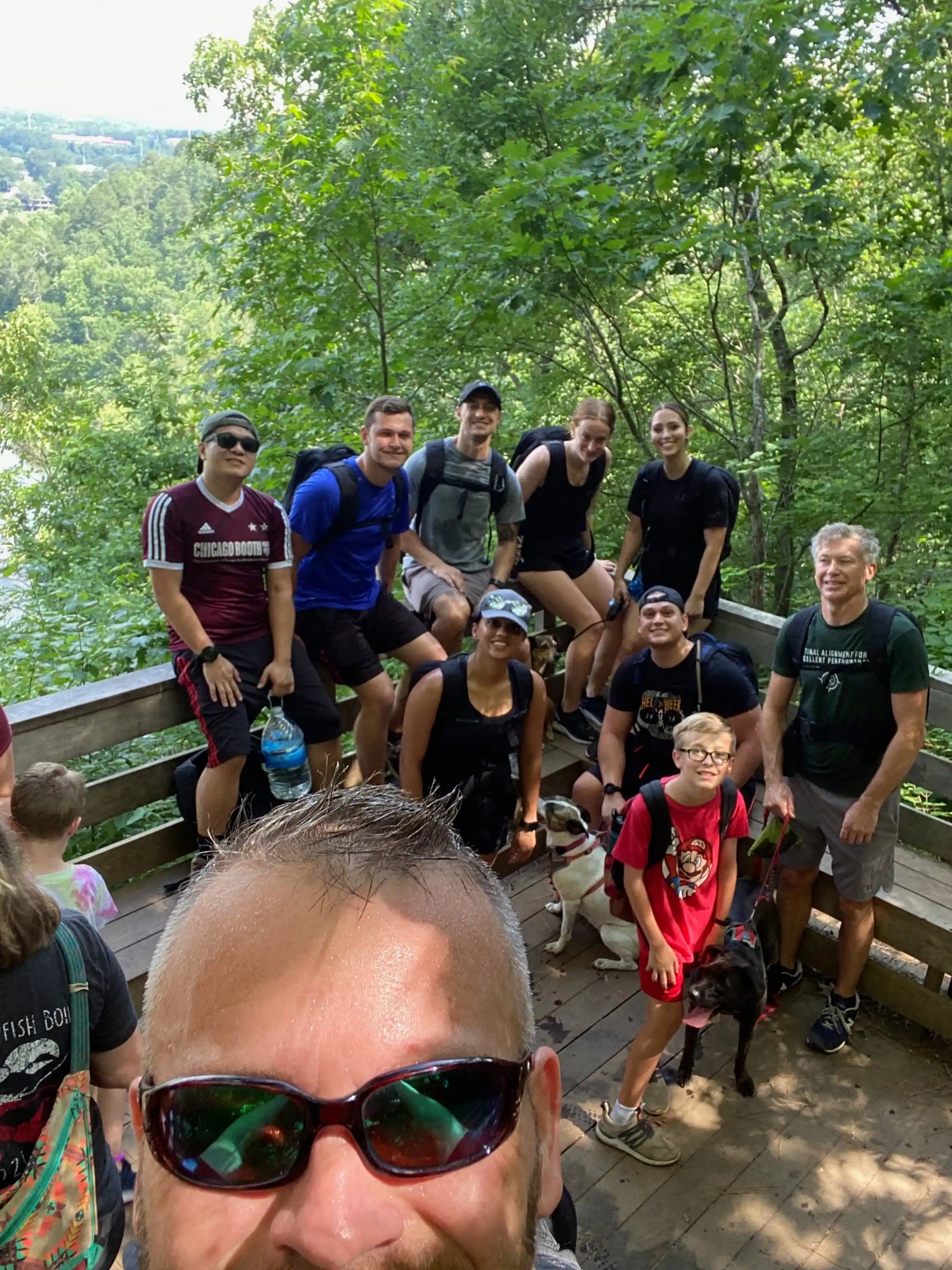 Group of hikers with backpacks and dogs resting on wooden platform in green forest