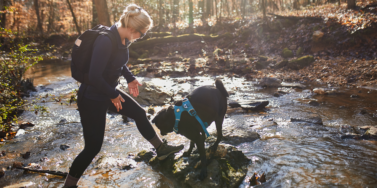 Woman with a GORUCK backpack rucking outdoors across a creek with a black dog