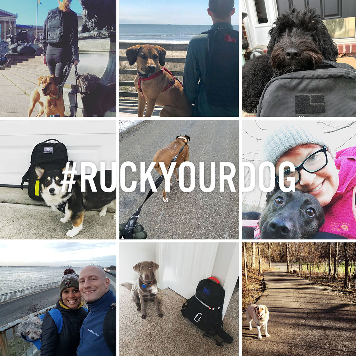 Ruck Your Dog Virtual Fundraiser 2018