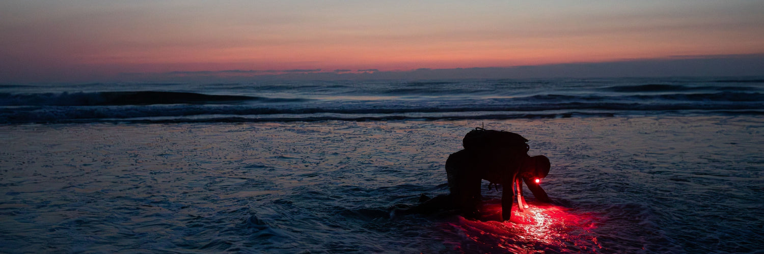 GORUCK gear user training at sunrise on ocean beach with red light reflecting on water