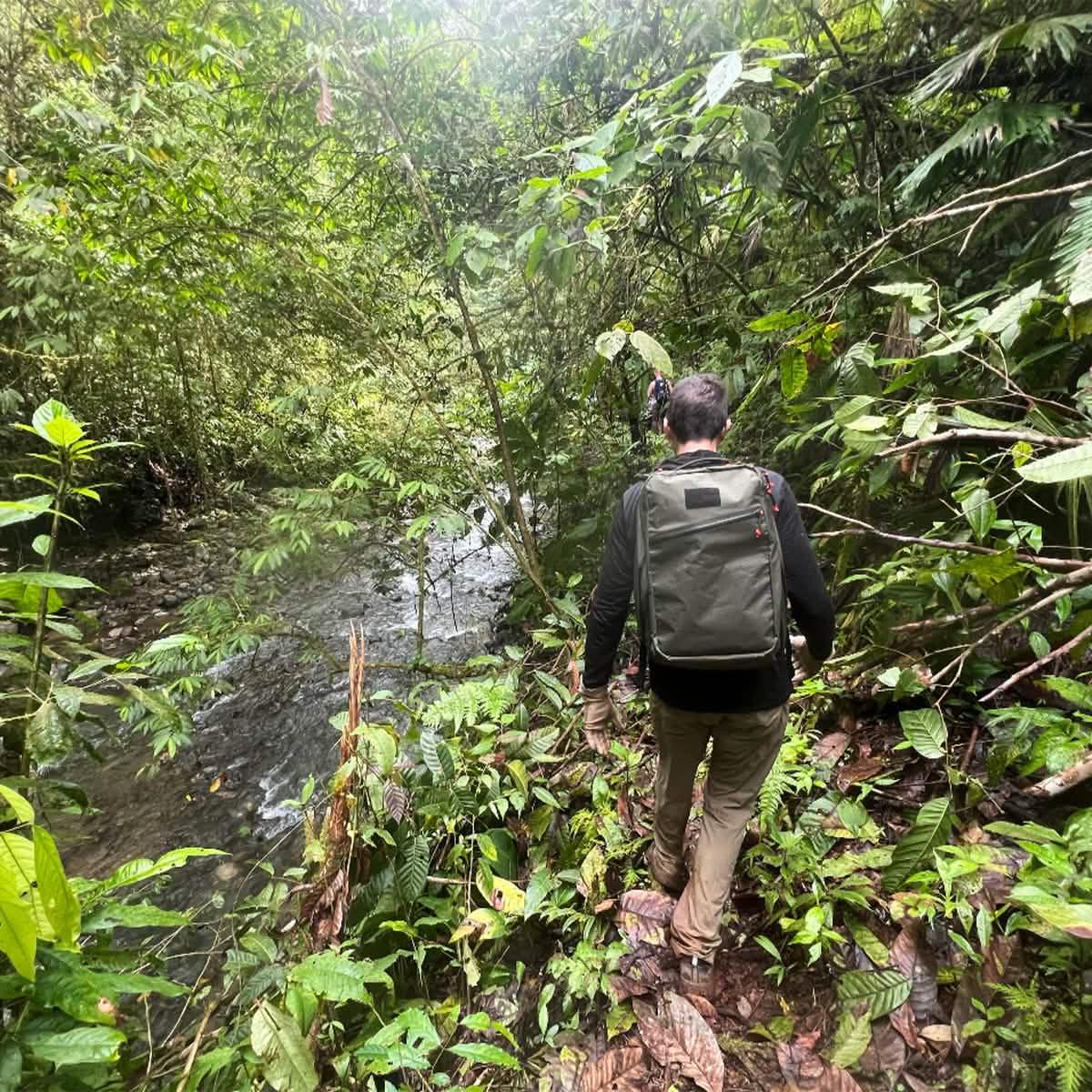 Hiker with GORUCK backpack walking through dense jungle trail beside a flowing stream