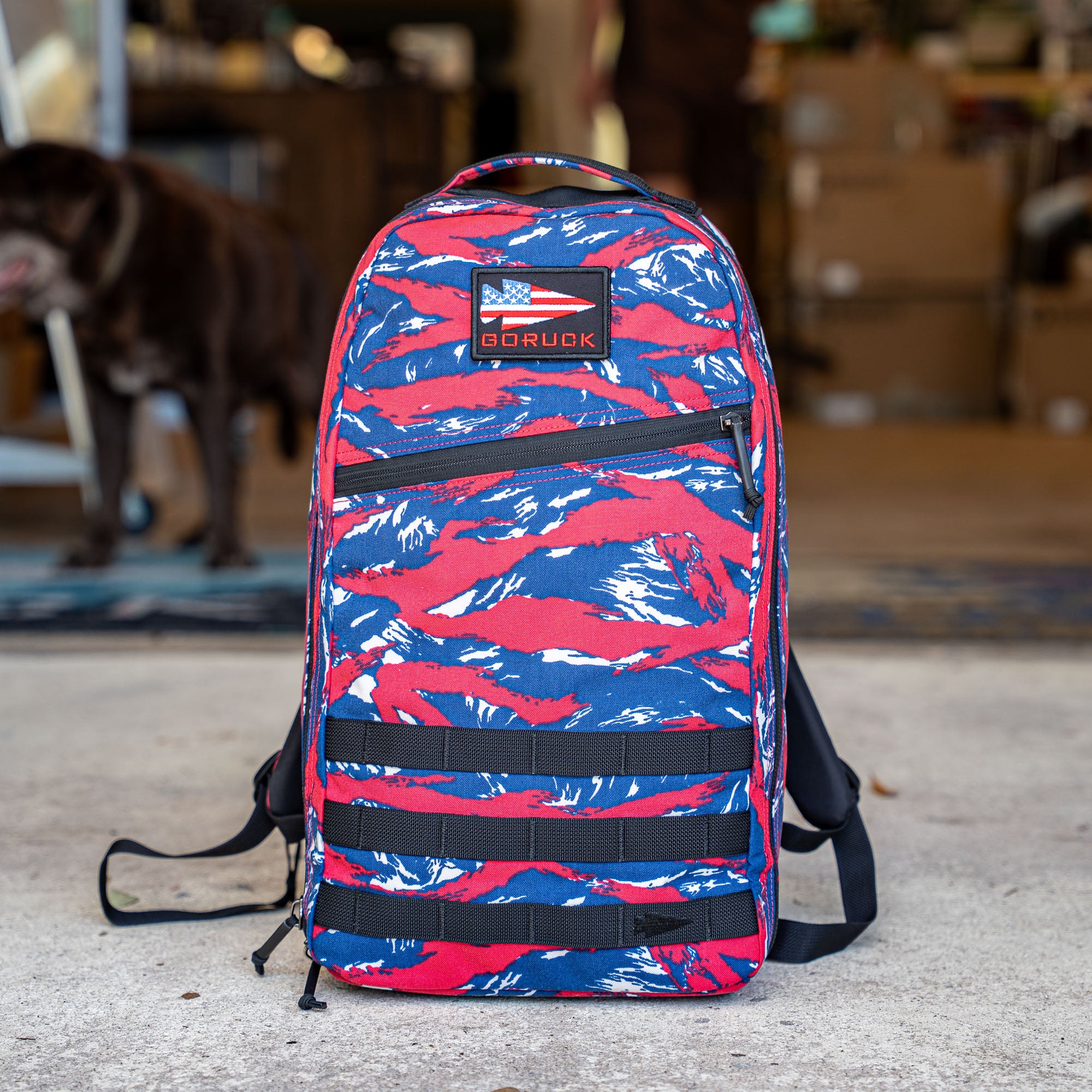 Bullet Ruck | 15L Backpack