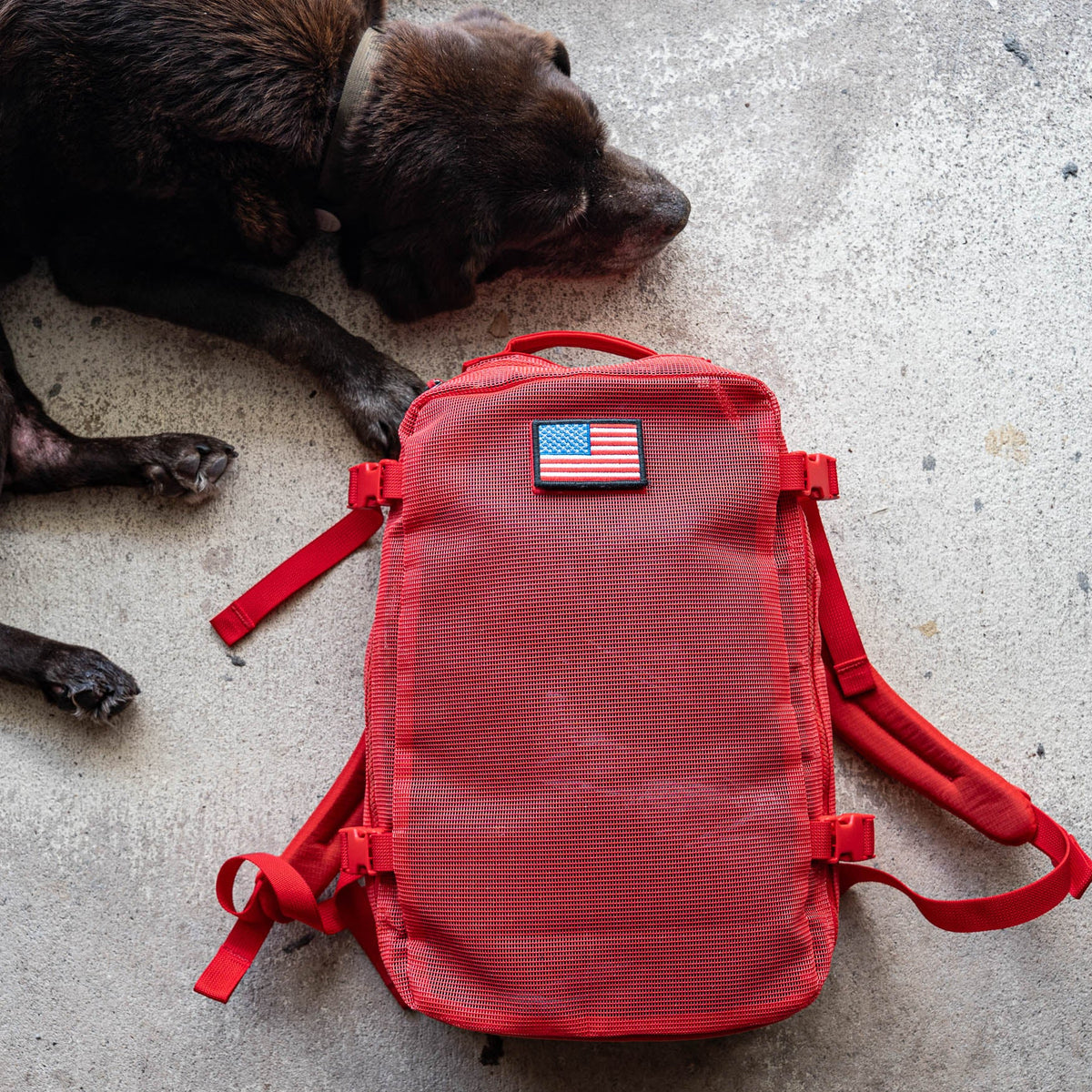 A red Mesh Ruck backpack with a USA flag patch lies on concrete next to a resting black dog.