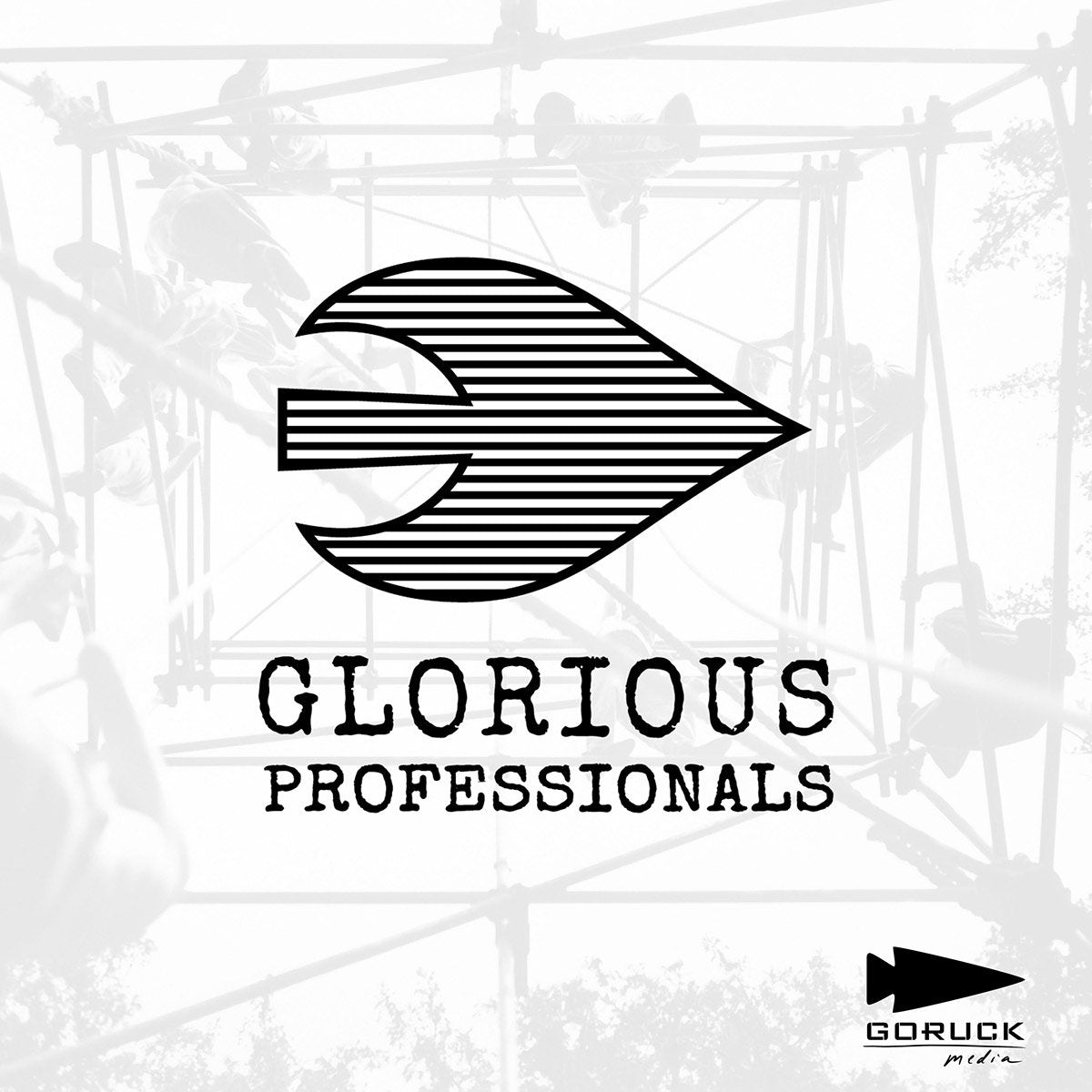 Black striped arrowhead logo with