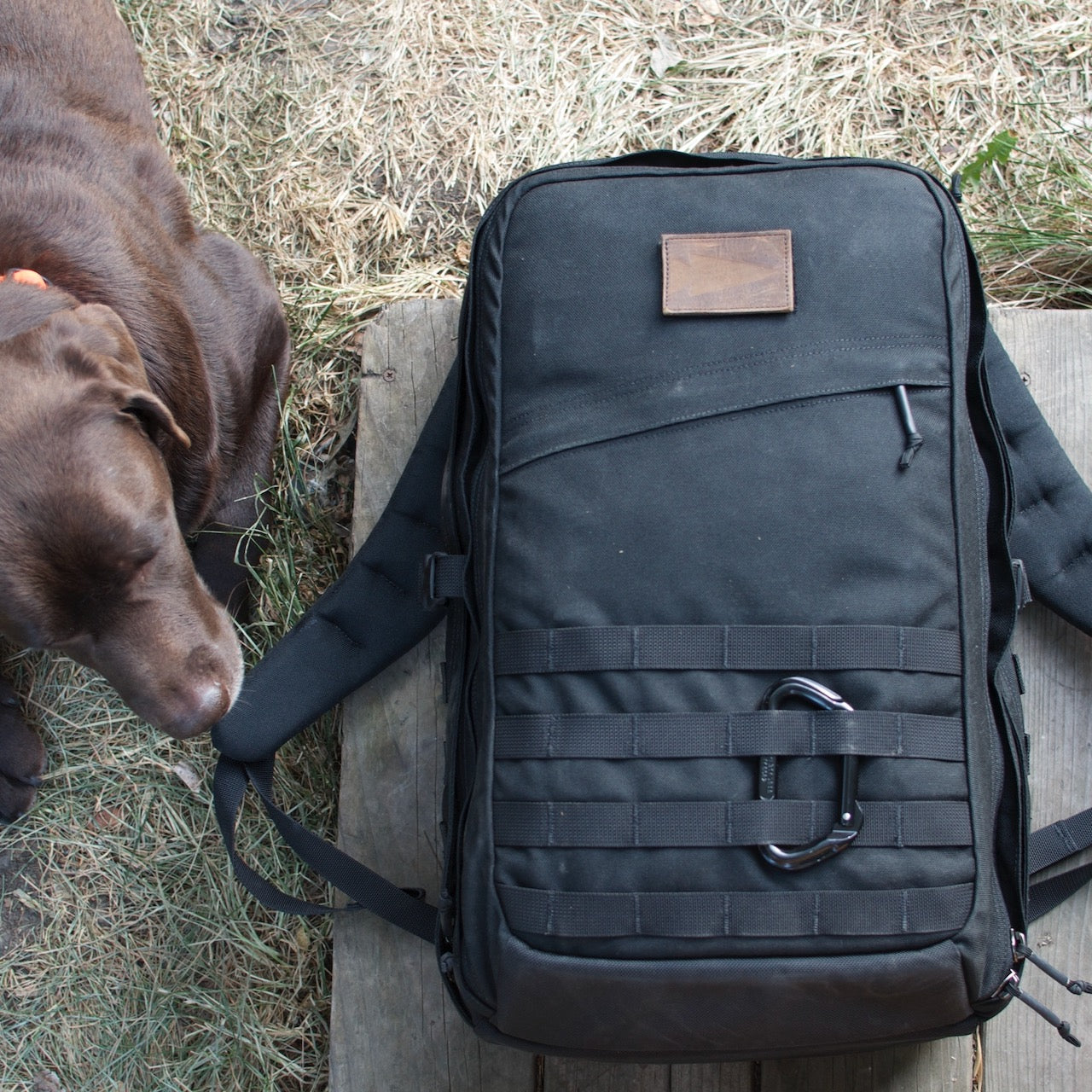 A GR2 USA - Cordura rucksack in black with a carabiner rests on a wooden surface beside a brown dog lying on dry grass.