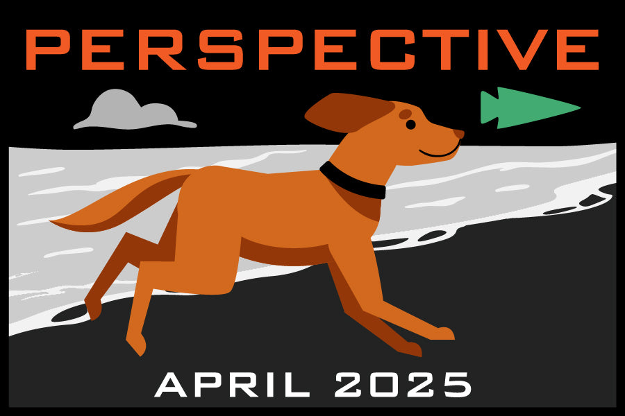 Illustration of an orange dog running on a beach with