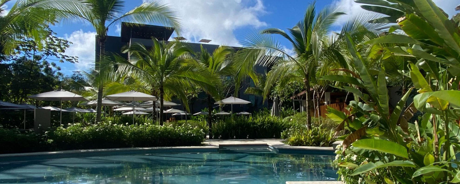 Resort pool surrounded by palm trees, lush greenery, and umbrellas under a bright blue sky with clouds.