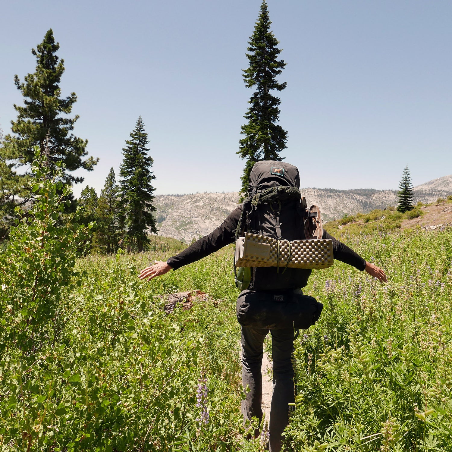 A hiker carrying the GR MONSTER Bundle - PREORDER rucksack walks through green bushes on a mountain trail with arms outstretched, trees and hills in the background.