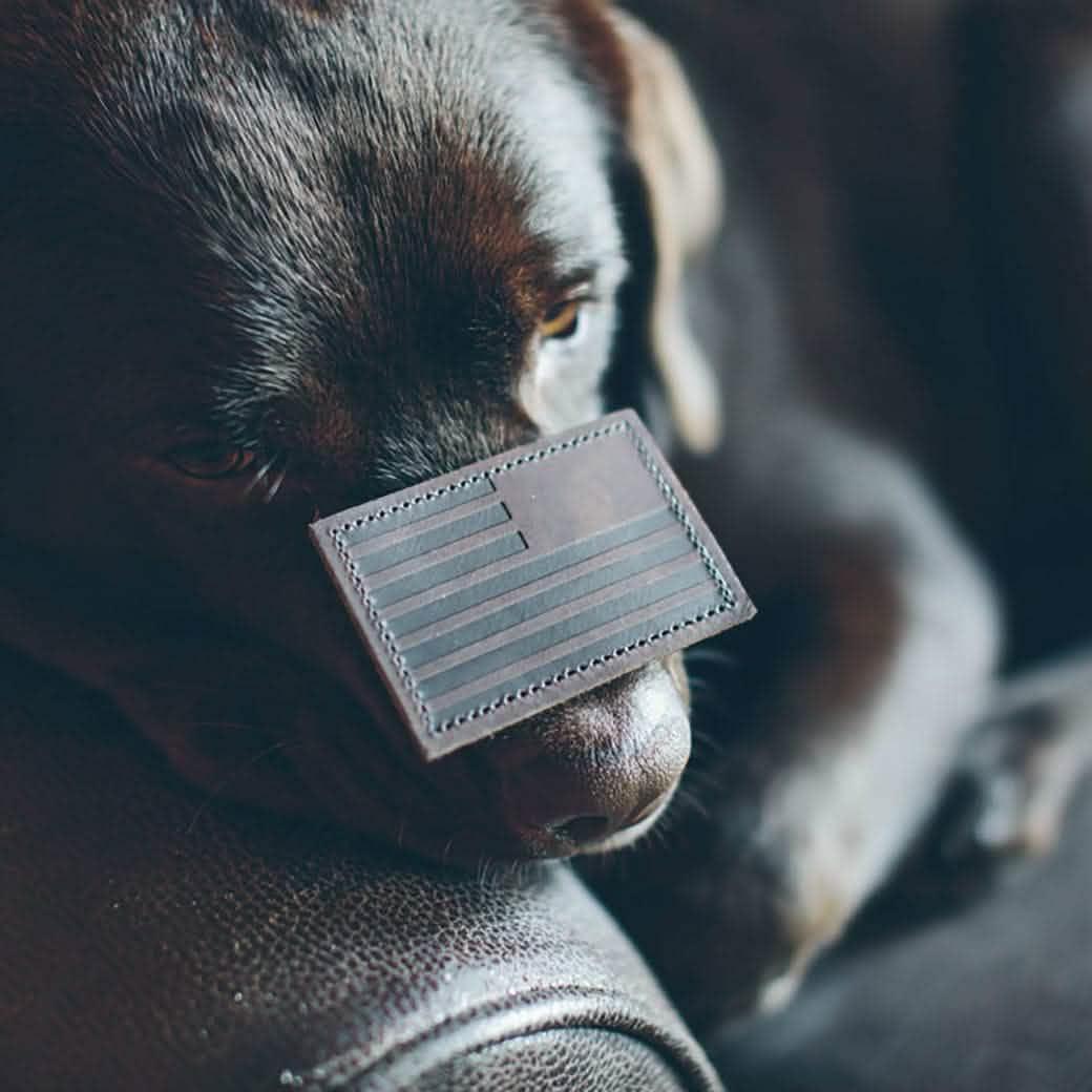 Black dog resting on a couch with a GORUCK American flag patch on its nose
