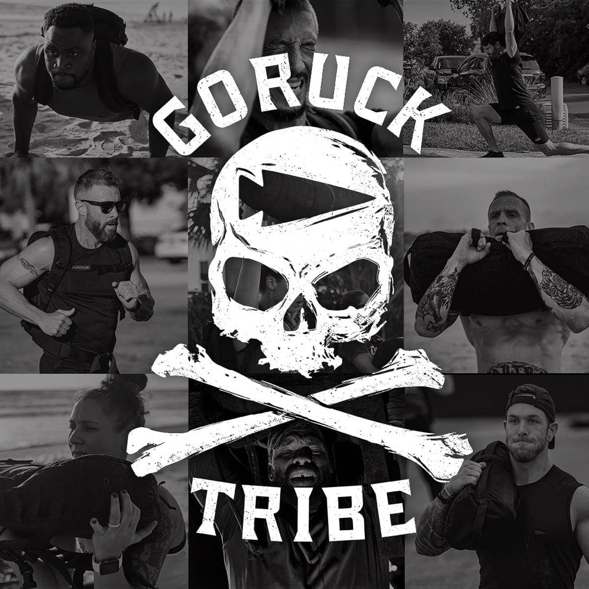Tribe 'n Training (Monthly Subscription)