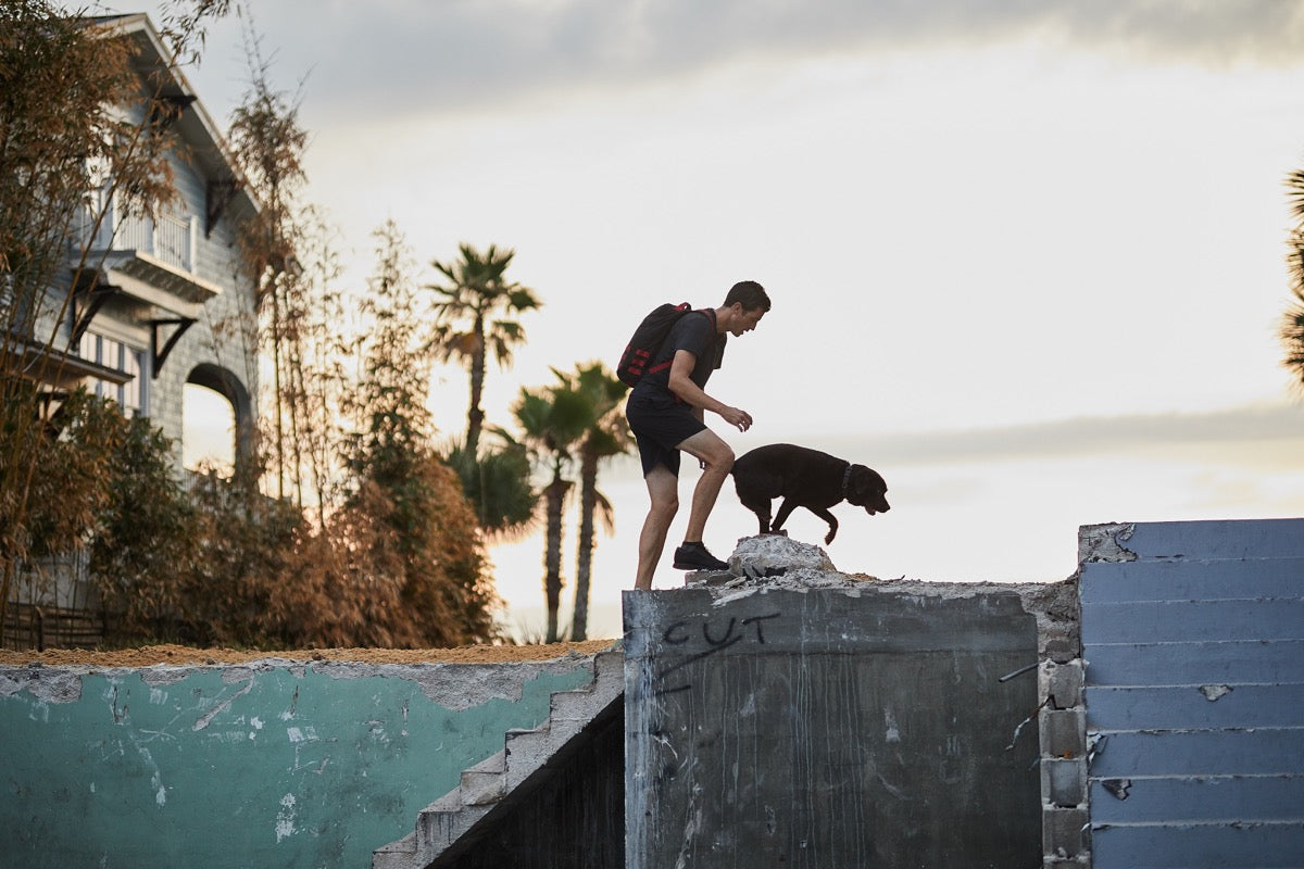The Four Pillars of Training