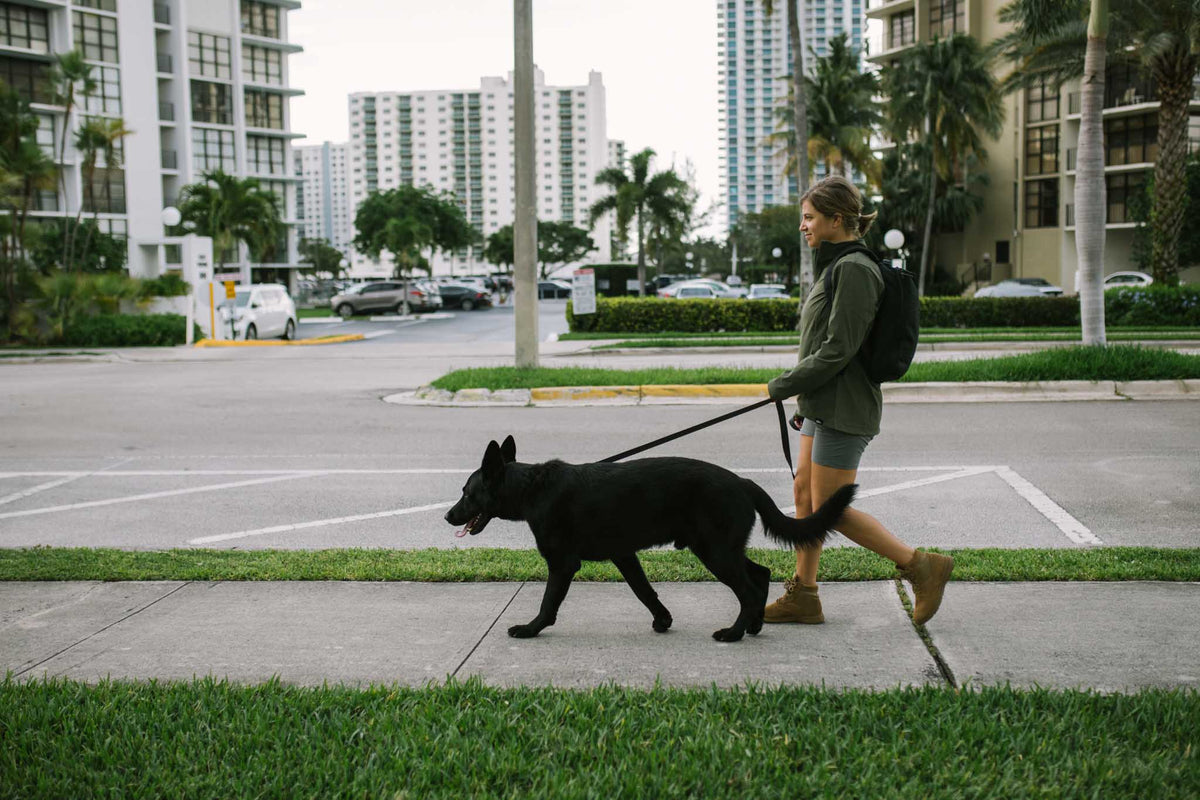 Now More Than Ever It’s Time to Ruck Your Dog