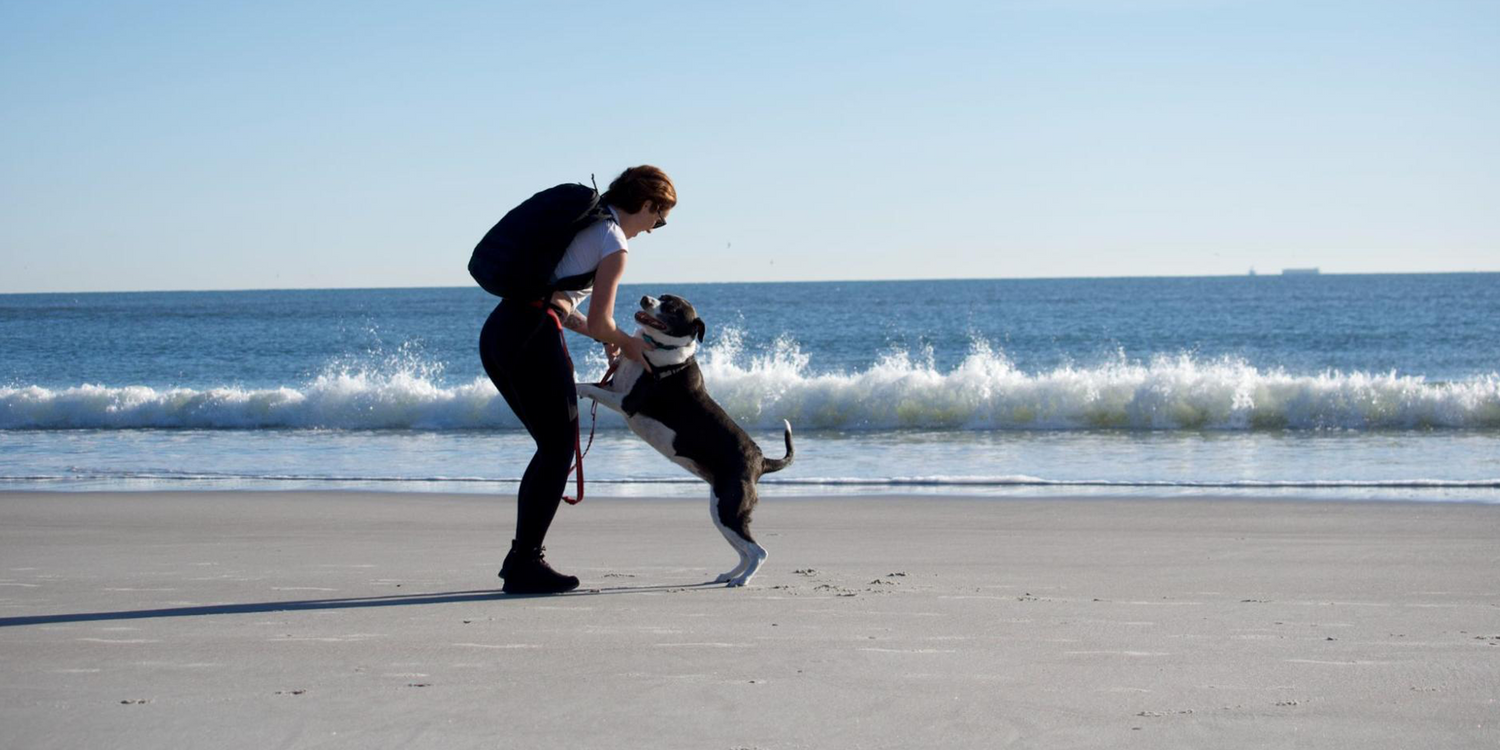 Woman with backpack playing with dog on sandy beach with ocean waves in background