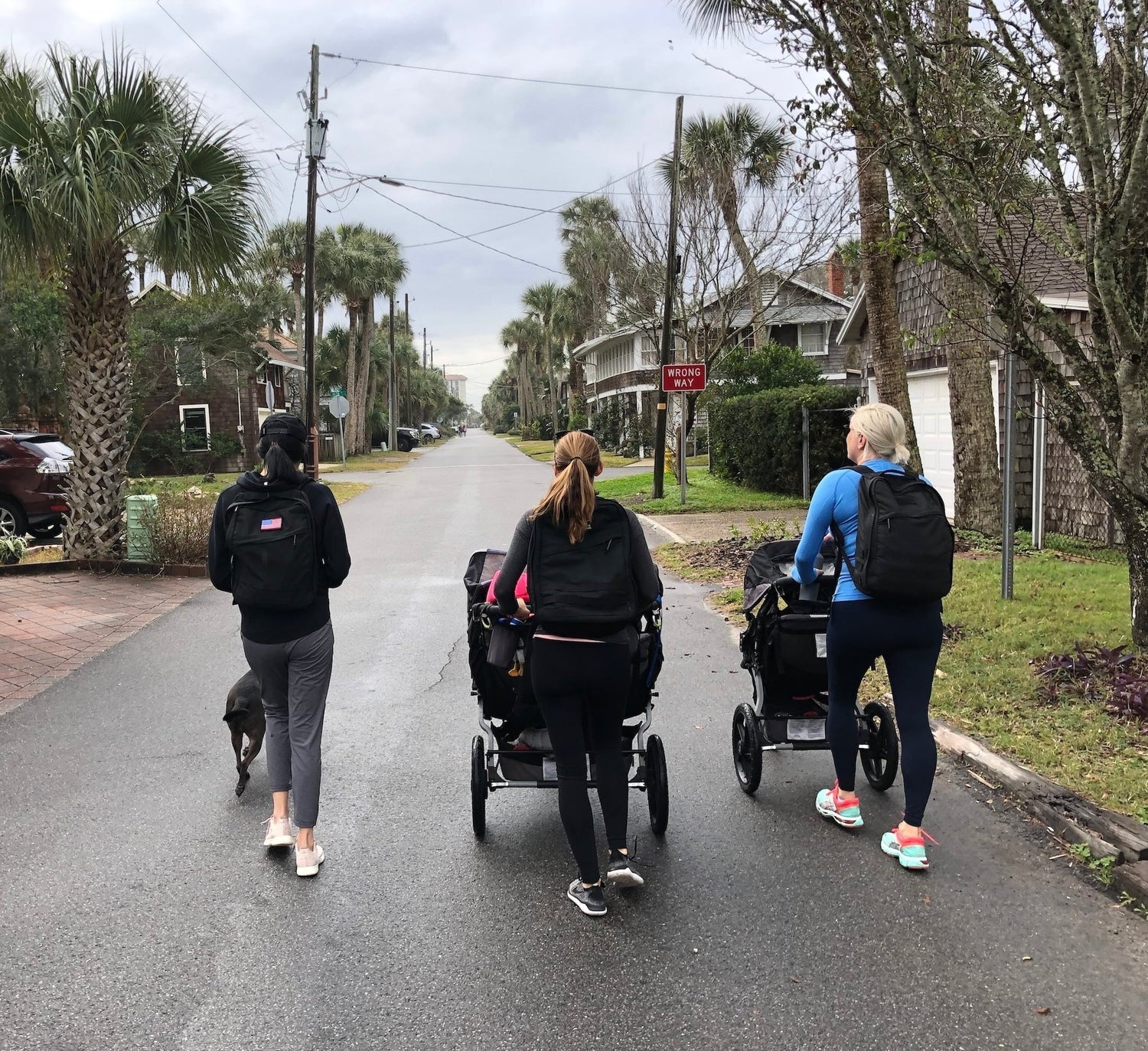 Three women rucking with backpacks while pushing strollers and walking a dog on a residential street with palm trees