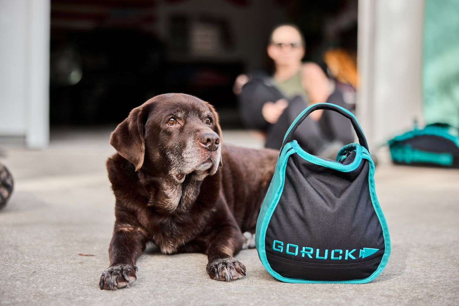 Chocolate lab lying on concrete next to a GORUCK bag, person blurred in background