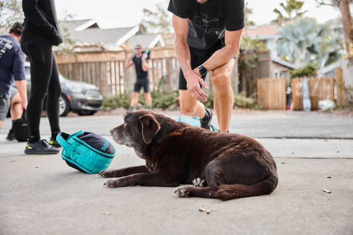 Dog lying beside turquoise GORUCK sandbag outdoors while people train in background