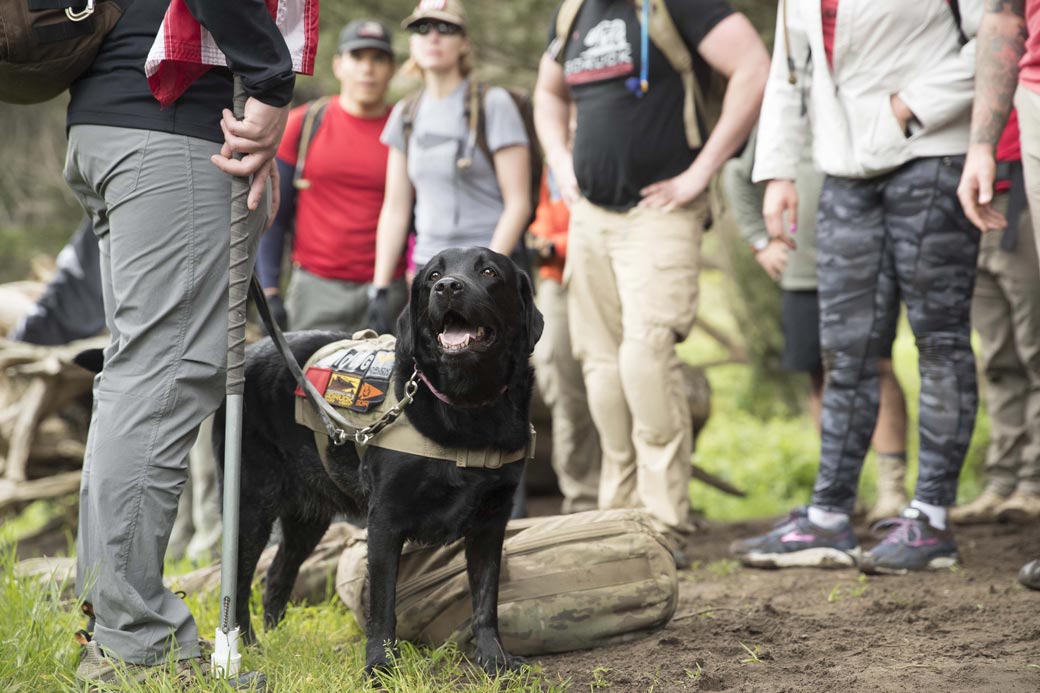 Black service dog with GORUCK patch vest at outdoor rucking event, surrounded by participants