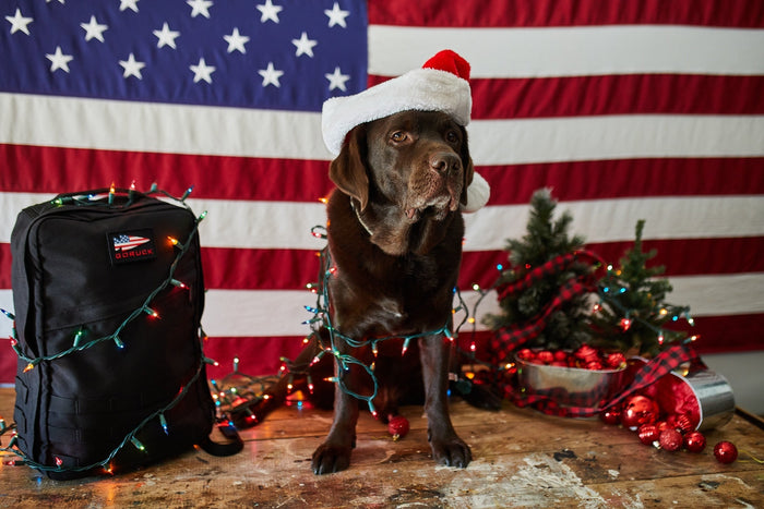 Chocolate labrador wearing Santa hat wrapped in Christmas lights beside GORUCK backpack and holiday decorations
