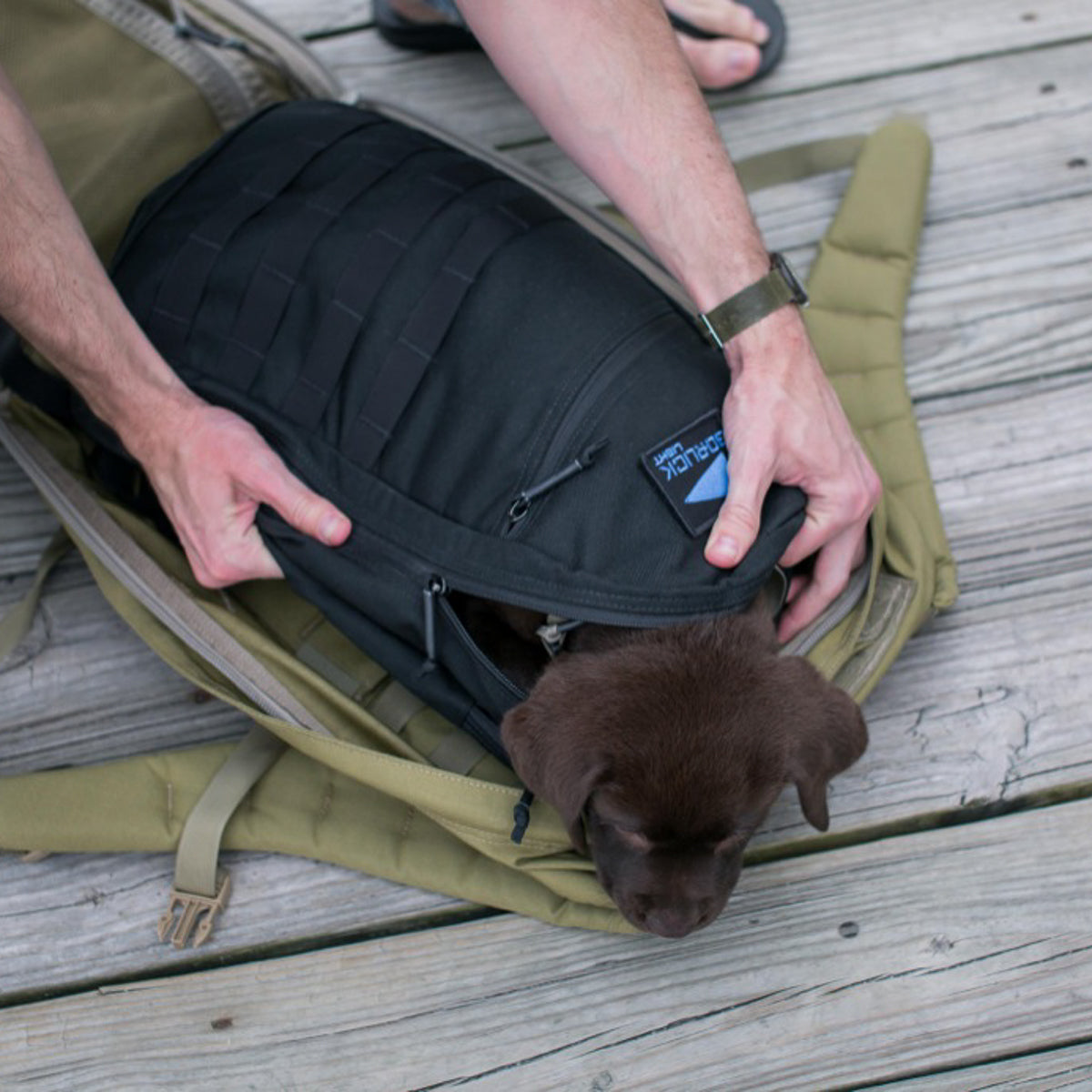 Someone places a chocolate Labrador puppy into a Bullet Ruck USA Throwback, a black daypack made with durable CORDURA, on a wooden deck.