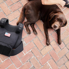A brown dog is lying on a brick ground next to the Training Weight Vest - Black, featuring an American flag patch, with a person’s arm nearby.