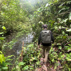 A person wearing GORUCK's Merino Challenge Socks - Trail Cuff and carrying a backpack walks along a narrow path beside a flowing stream in a lush, dense rainforest. The scene is filled with vibrant green foliage, creating an atmosphere that is both humid and serene.