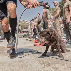 A person sprays a brown dog with water from a hose outdoors, while others in the background wear Merino Compression Socks for blister-free comfort.