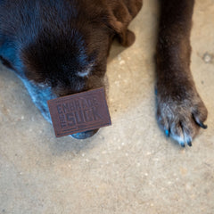 A dog lies on a concrete floor with the Patch - Embrace The Suck resting on its nose.