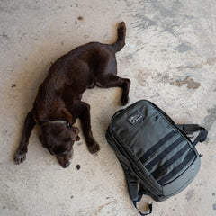 A brown dog lies on a concrete floor beside a gray GR2 travel backpack with black straps.