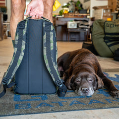 A person holds the Bullet Ruck Classic - Ballistic Nylon Cordura daypack in camouflage next to a sleeping brown dog on a mat indoors.
