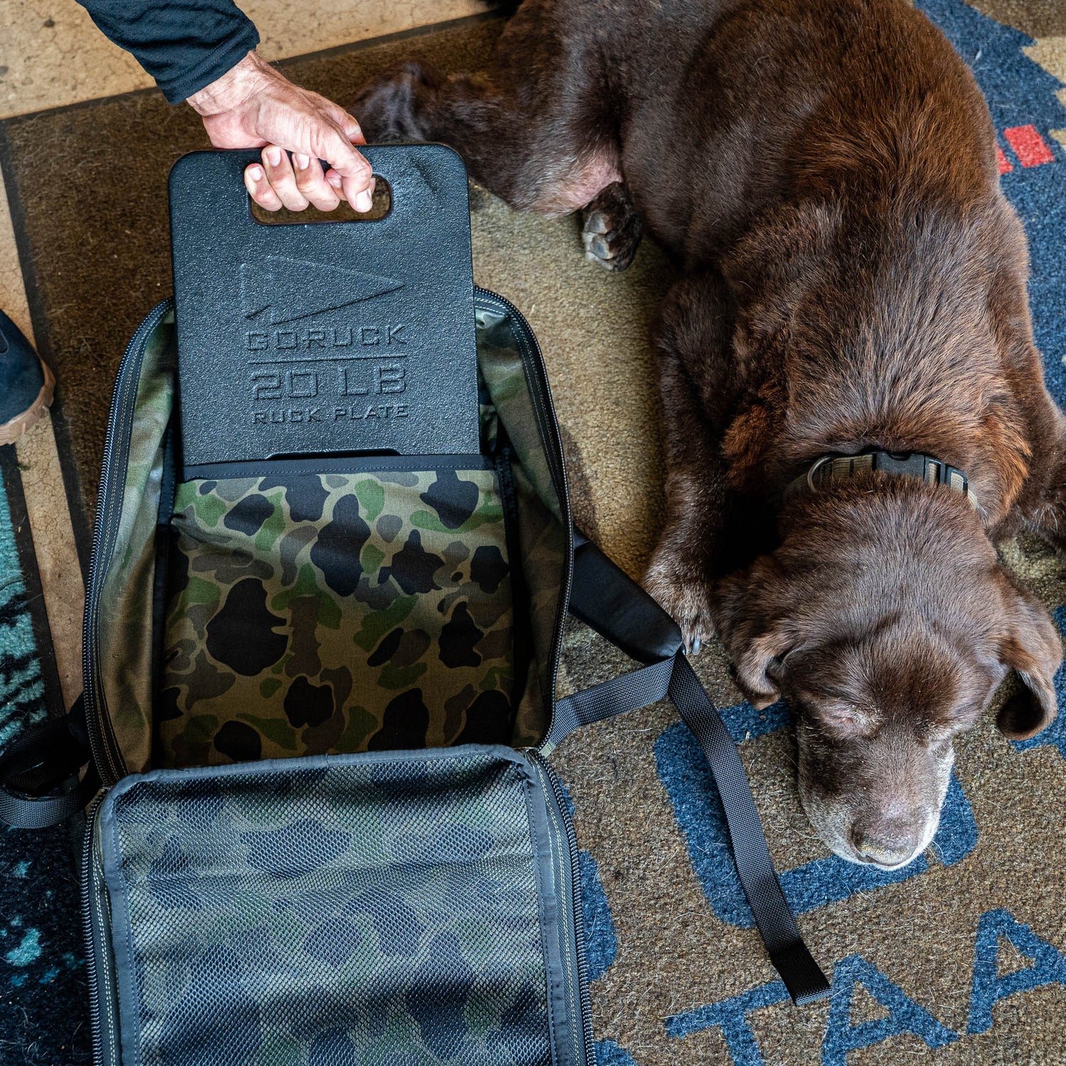 A person holds a weighted ruck plate above an open Bullet Ruck Classic - Ballistic Nylon Cordura day hike backpack, while a brown dog rests on a rug nearby.