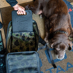 A person holds a weighted ruck plate above an open Bullet Ruck Classic - Ballistic Nylon Cordura day hike backpack, while a brown dog rests on a rug nearby.