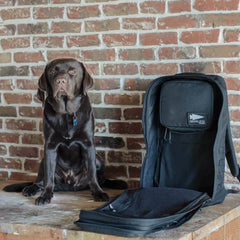 A chocolate Labrador sits on a wooden table next to an open black GR2 Field Pocket by GORUCK, featuring MOLLE webbing. The brick wall background adds a rustic feel to the scene.