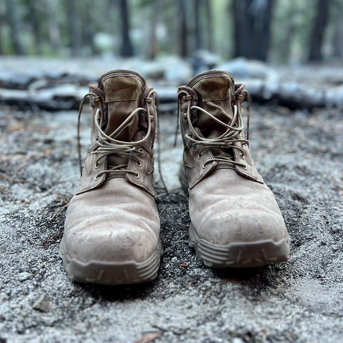 A pair of MACV-2 - Mid Top - Briar + Coyote boots sit on dirt in a forest, with blurred trees in the background.