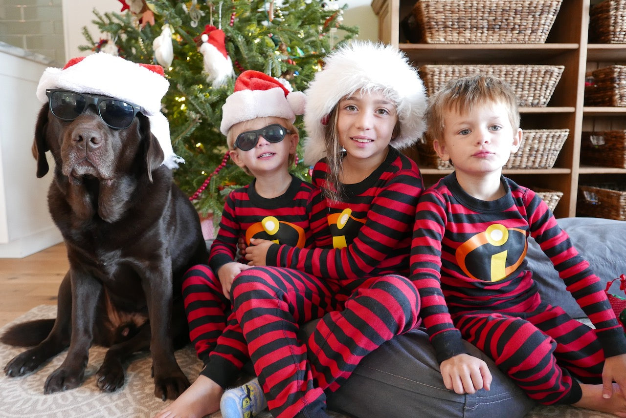 Three kids and a dog wear matching “Monster Forever Tee” shirts and Santa hats, sitting by a Christmas tree, celebrating the joy of family—even as they cherish loving memories with their pet memorial ornament under the branches, honoring those waiting at the Rainbow Bridge.