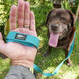 GORUCK branded blue dog leash held in hand with happy chocolate lab outdoors on grass