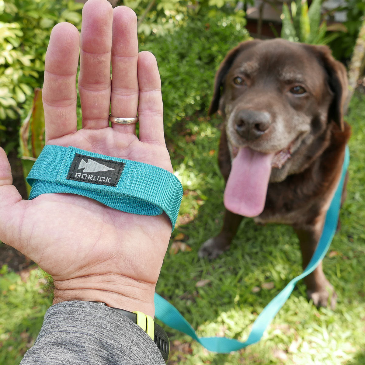 A hand holds the Dog Leash, crafted from military-grade nylon, while a happy brown dog pants and stands on grass in the background.