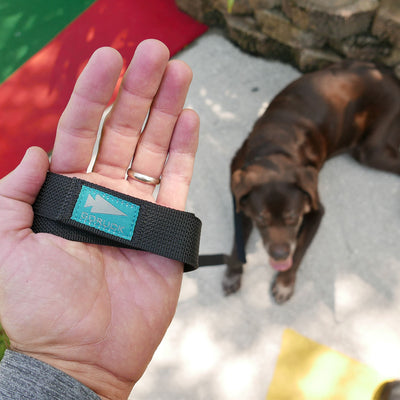 A hand holds a Dog Leash with a secure clip, while a brown dog sits on the ground in the background.